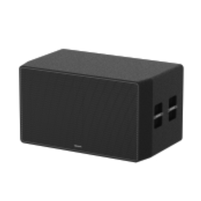 DS-QAPS1R160-18DU, Pro Динамик DS-QAPS1R160-18DU