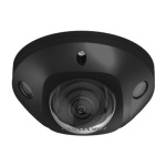 DS-2CD2546G2-IS(C)(BLACK) (2.8mm) DS-2CD2546G2-IS(C)(BLACK) (2.8mm)
