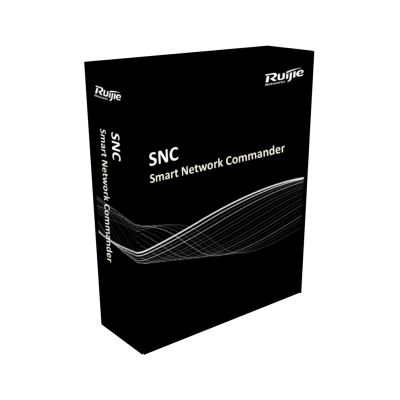 RG-SAM Plus Int. License-5000 RG-SAM Plus Int. License-5000