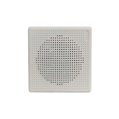DS-QAE0103G1E-V, Громкоговоритель DS-QAE0103G1E-V