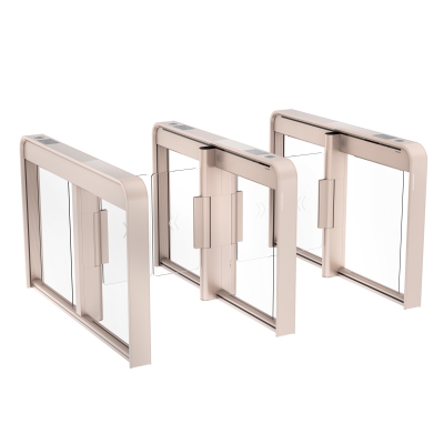 DS-K6B653X-L/DPQ, Турникет DS-K6B653X-L/DPQ