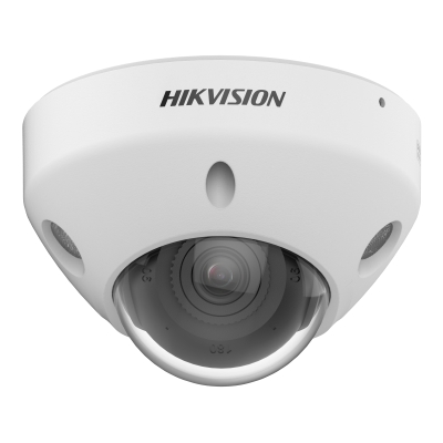 DS-2CD2543G2-LIZY (2.8mm), IP Камера, купольная DS-2CD2543G2-LIZY (2.8mm)