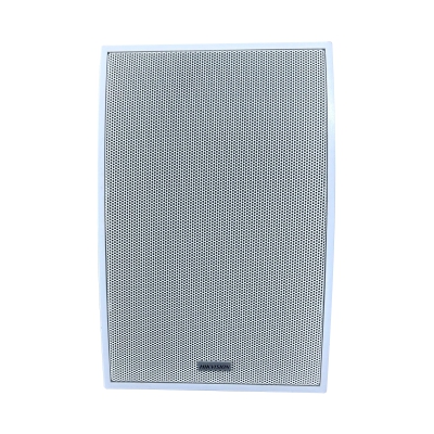 DS-QAE0120G1E-V, Громкоговоритель DS-QAE0120G1E-V